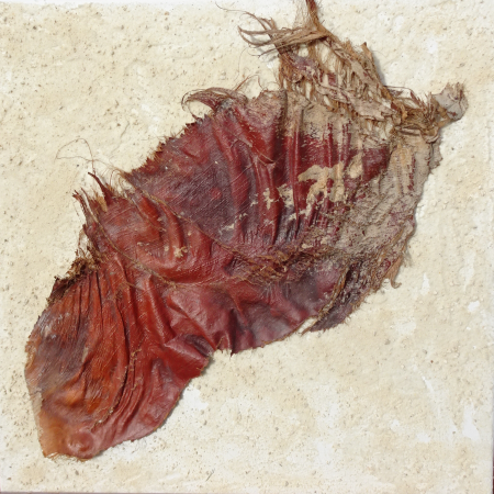 Beauté de la Natur 03