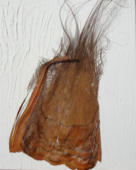 Beauté de la Natur 05